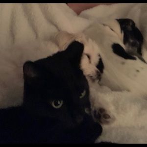 Meet your Posher, Diana